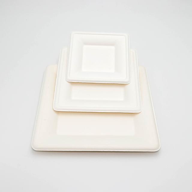 Source Factory Customization Umweltfreundliche Zuckerrohr-Bagasse-Quadratplattentabletts (6 8 10 Zoll)