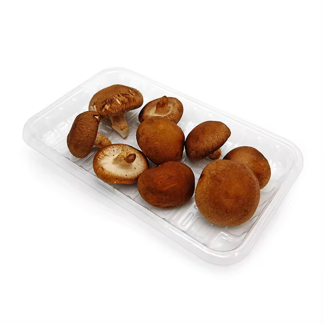 Maßgeschneidertes Einweg-Supermarkt-PP-Lebensmitteltablett für Gemüse, Obst, Frischfleisch, Tiefkühlkost 